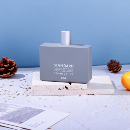 川久保玲 标准 Comme des Garcons Standard 分装 商品图1