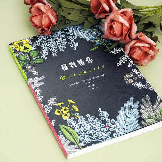 植物情怀  马克 让松 夏洛特 福夫 著 植物标本的历险故事 植物学家传奇经历 三棱镜译丛 商品图2