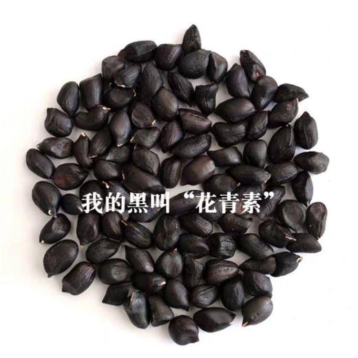 云南小粒黑花生 高原阳光 黑色营养 干生花生 商品图4