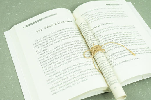 高亚平律师团队作品 •「灵活用工平台的合规之路：合规解决方案的路径设计」丨以「理想」的灵工平台体系构建为先导 x 以「务实」的一线项目合规律师为视角 商品图3