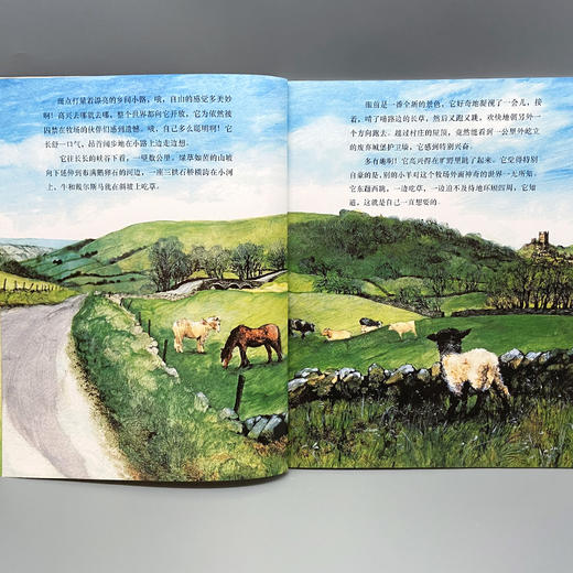 失踪的小羊羔 我的动物朋友系列 3000927 商品图5