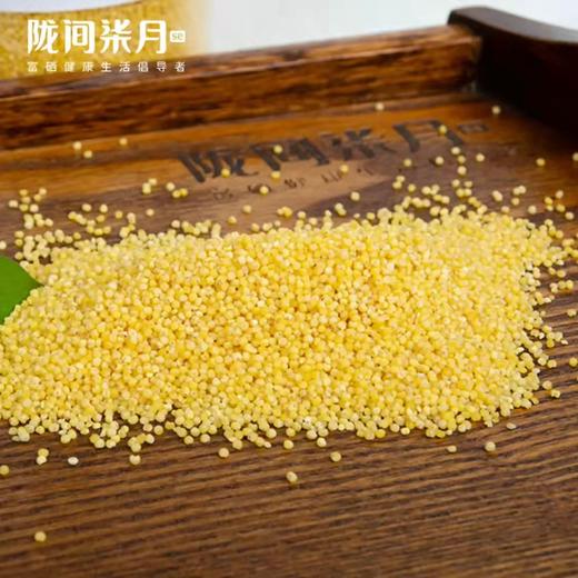 中国粮A款 商品图3