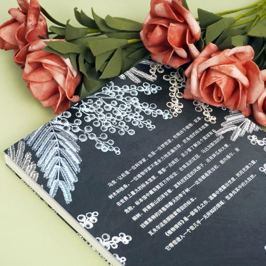 植物情怀  马克 让松 夏洛特 福夫 著 植物标本的历险故事 植物学家传奇经历 三棱镜译丛 商品图3