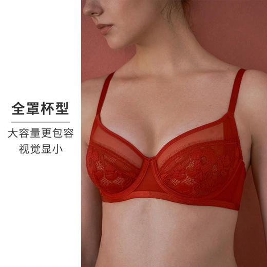 HSIA遐 内衣女轻薄款全罩杯上托bra睫毛花朵性感蕾丝大胸显小文胸 商品图4