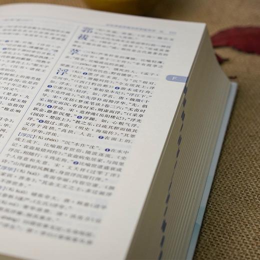 辞海版.学生古汉语词典(第4版) 商品图2