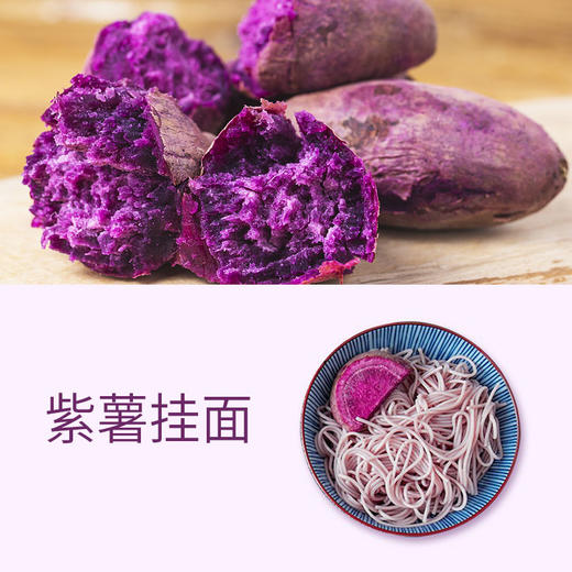 见字如面A款 商品图2