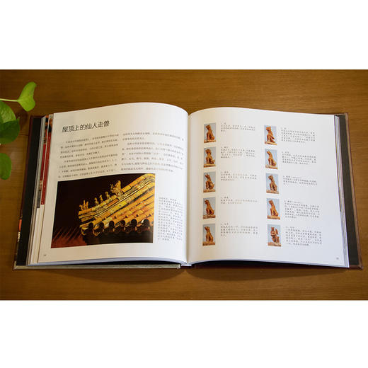 精选摄影作品，集艺术性、知识性、趣味性为一体   故宫摄影套装 商品图11