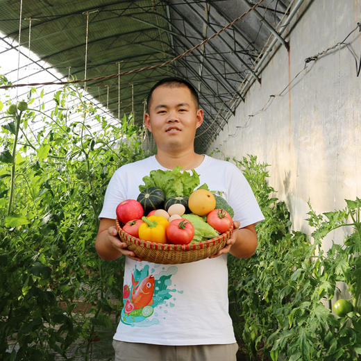 密农人家私享标准年卡（全年52次配送） 商品图1