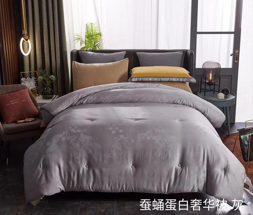 蚕蛹蛋白奢华被子被芯 冬被 床上用品 商品图1