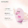 【限时折扣】SHANGPRE香蒲丽BB霜50ml 商品缩略图2