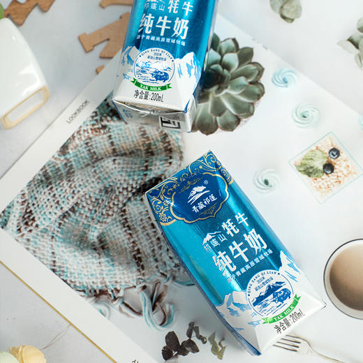 青藏祁莲祁连山牦牛纯牛奶牦牛乳含量30200ml12支
