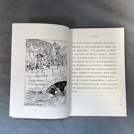爱尔兰童话故事 诺奖童书 3000921 商品图3