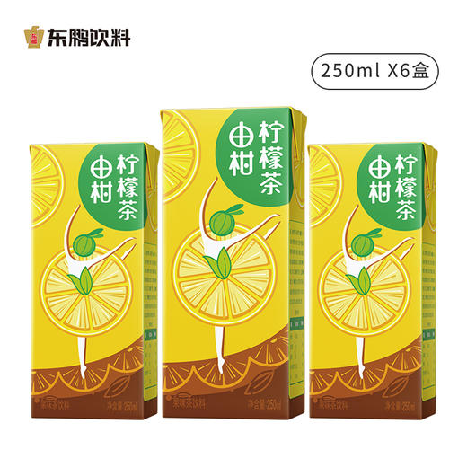 【积分商城】由柑柠檬茶250ML*6盒装含维生素C果味茶饮料 商品图2