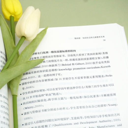课程与知识的专门化 教育社会学研究 一本有关知识与教育的密切关系的系统读物 商品图3
