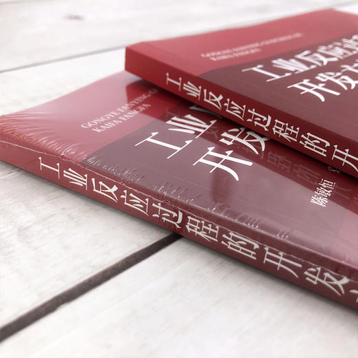 工业反应过程的开发方法 商品图3