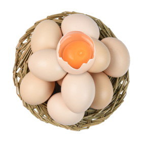 【BF】旦旦超人山养鸡蛋15枚