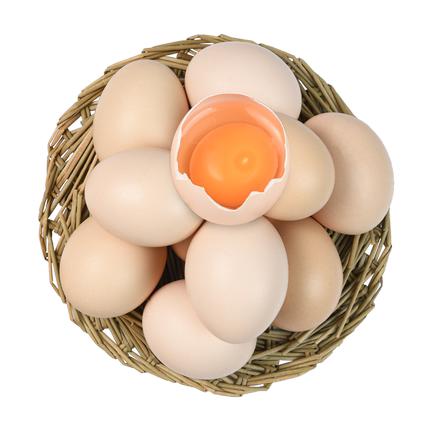 【BF】旦旦超人山养鸡蛋15枚 商品图0