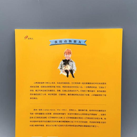 失踪的小羊羔 我的动物朋友系列 3000927 商品图6