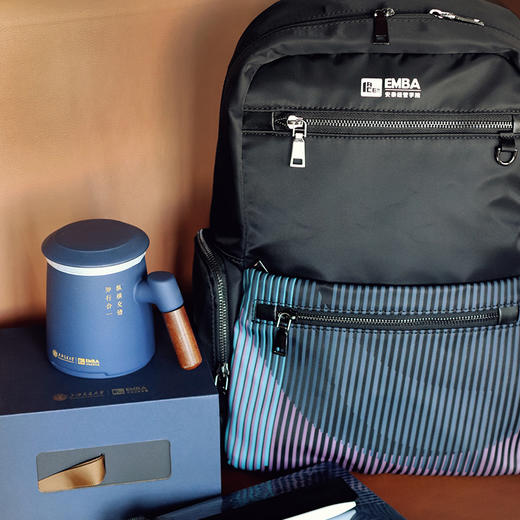 【旅漫丨上海交通大学丨安泰EMBA 】“企业/高校定制” 新款商务简约潮流双肩包AL-2013/AL-2012 商品图3