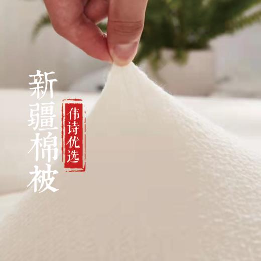 伟诗优选 | 新疆纯手工棉被 商品图1