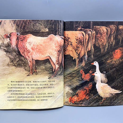 老牛布罗瑟姆回家了 我的动物朋友系列 3000924 商品图4