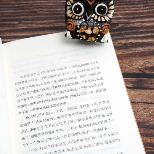 身体会告诉你 非洲豪萨语文学作品选 六点非洲系列 豪萨语文学精选 小说 寓言故事 商品图3