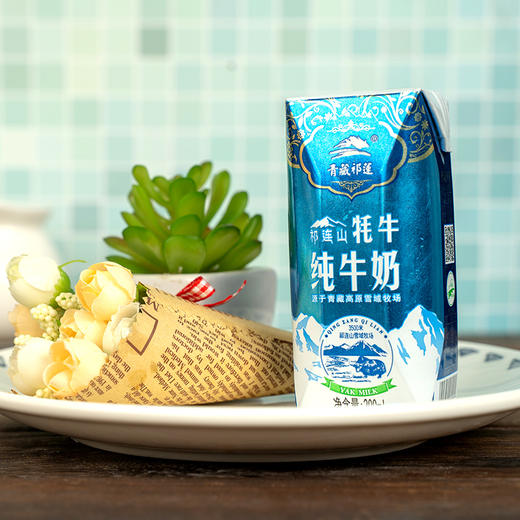 青藏祁莲祁连山牦牛纯牛奶牦牛乳含量30200ml12支