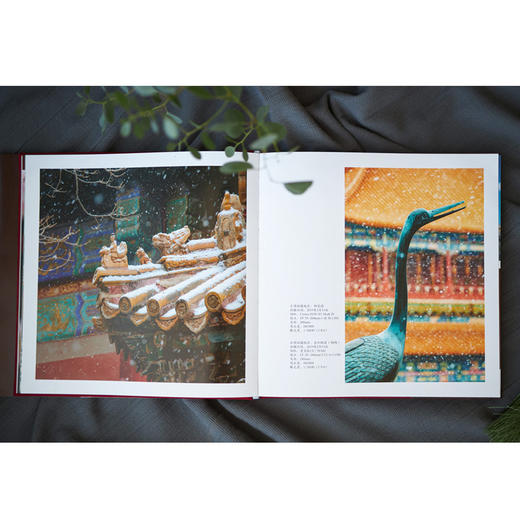 精选摄影作品，集艺术性、知识性、趣味性为一体   故宫摄影套装 商品图4