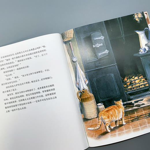 小猫摩西 我的动物朋友系列 3000926 商品图4