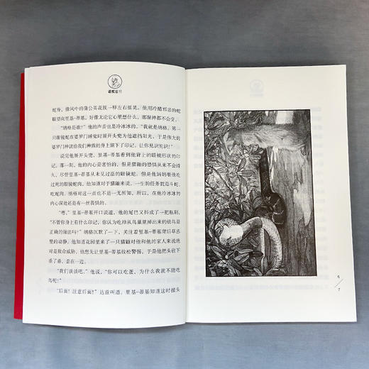 白海豹 诺奖童书 3000919 商品图3