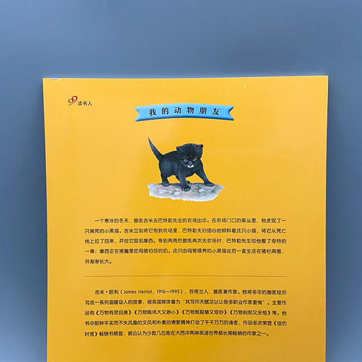 小猫摩西 我的动物朋友系列 3000926 商品图6
