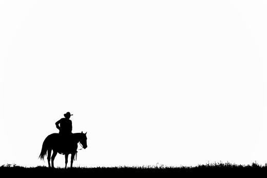 West: The American Cowboy,西部世界：美国牛仔,生活 商品图2