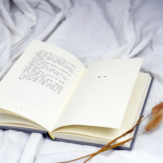 《山海经》传 精装 宋琳作品  六点诗丛 正版 华东师范大学出版社 商品图2