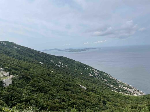 维景枕头 商品图0