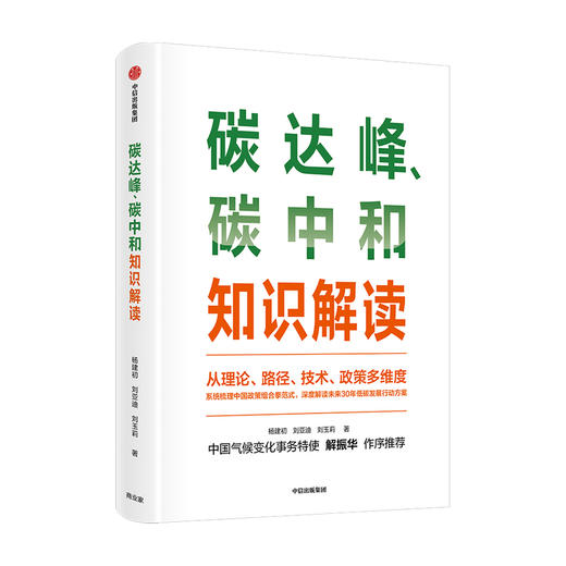 碳达峰 碳中和知识解读 杨建初著  多维度多主体解读碳达峰碳中和 解读未来30年低碳发展行动方案 中信出版正版书籍 商品图3