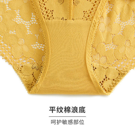 HSIA遐性感内裤女向阳花开镂空全蕾丝透气无痕纯棉裆底中腰平角裤 商品图4