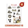 活了800万岁的大熊猫 商品缩略图4
