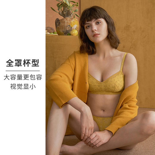 HSIA遐无钢圈内衣女薄夹棉防凸点向阳花开蕾丝全罩杯大胸显小文胸 商品图2