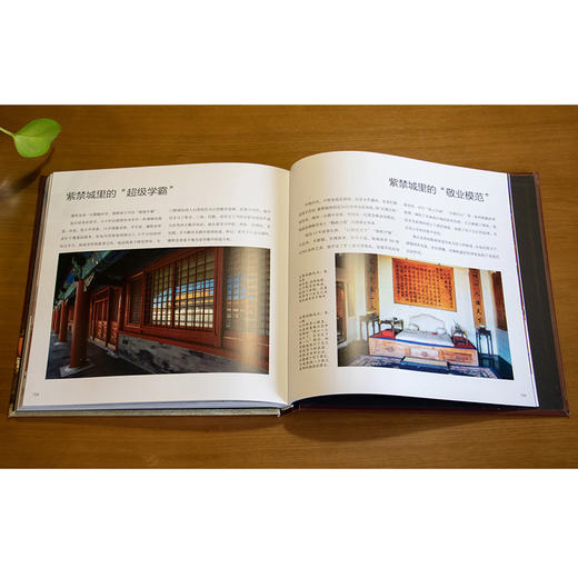 精选摄影作品，集艺术性、知识性、趣味性为一体   故宫摄影套装 商品图9