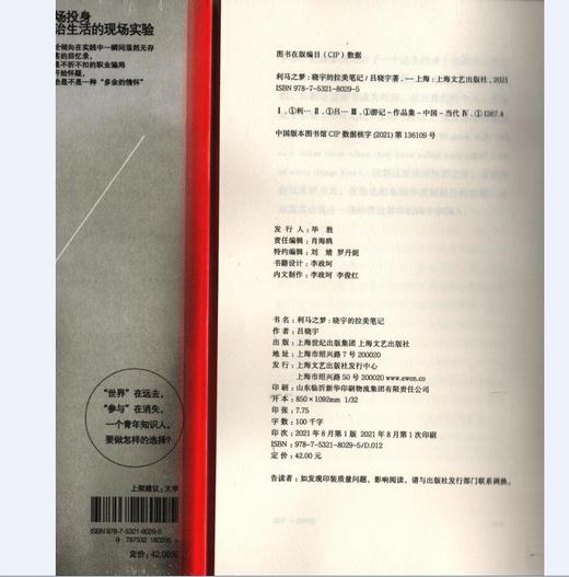 利马之梦:晓宇的拉美笔记 商品图1