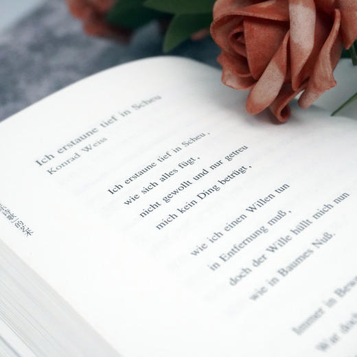 德语"音乐诗歌"的艺术 姜林静著 十九首世界诗歌批评本丛书 诗歌鉴赏 商品图2