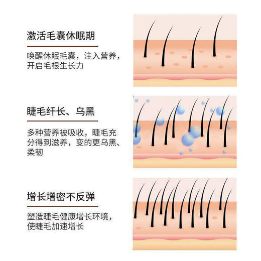 修正睫毛滋养精华液睫毛增长纤长浓密睫毛/眉毛生长液 商品图3
