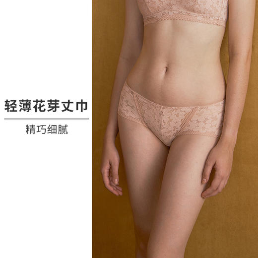 HSIA遐性感内裤女向阳花开镂空全蕾丝透气无痕纯棉裆底中腰平角裤 商品图2