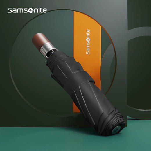 （VIP专享高端礼品）新秀丽质优木手柄防晒晴雨伞674*041 商品图0