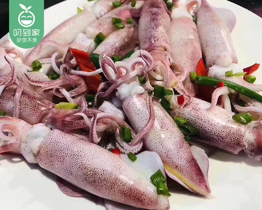 东山活冻灯捕小管/1份（500g±30g）生产日期：25年6月 商品图2