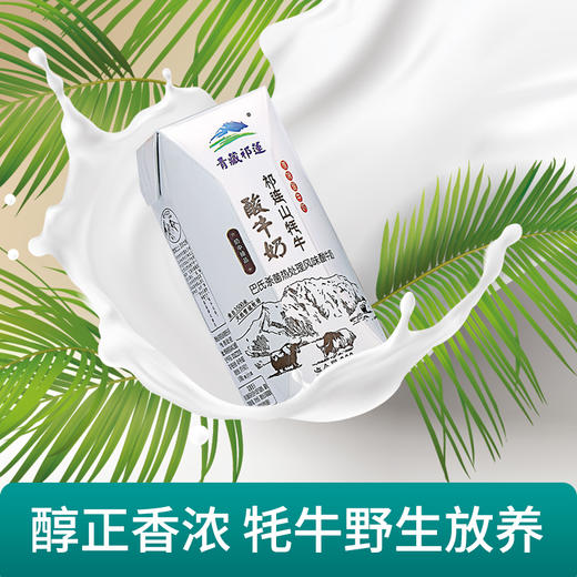 青藏祁莲原味牦牛酸奶200g12支箱中秋礼盒
