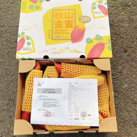 【秋山金蜜.红薯】约5斤/箱，可蒸可烤 商品图4