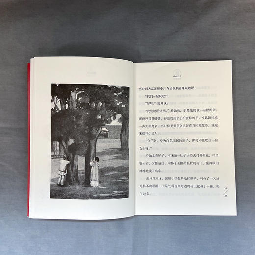 蜜蜂公主 诺奖童书 3000918 商品图3