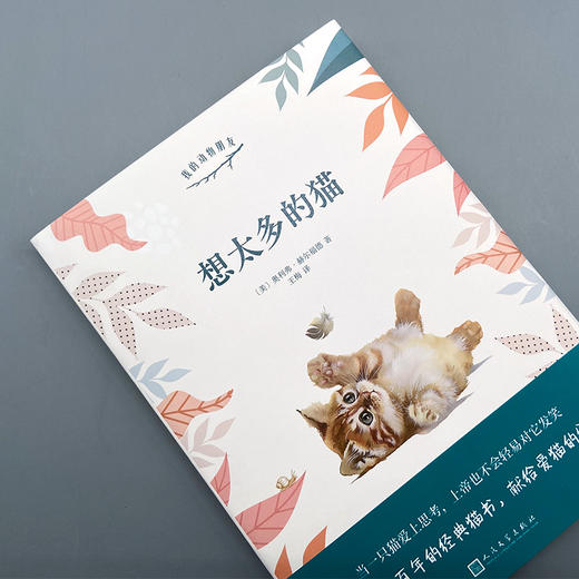 想太多的猫 我的动物朋友系列 3001011 商品图3