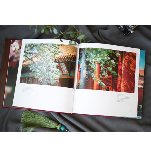 精选摄影作品，集艺术性、知识性、趣味性为一体   故宫摄影套装 商品图7